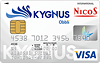 キグナスオブリカードα VISA