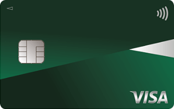 Oliveフレキシブルペイ(一般) グリーン