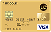 UCカード ヤングゴールド VISA